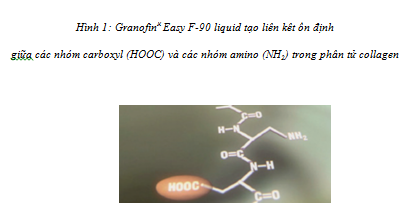 Phát triển công nghệ thuộc kết hợp mimosa-granofin easy F90 Liquid thân thiện môi trường trong thuộc da cá sấu