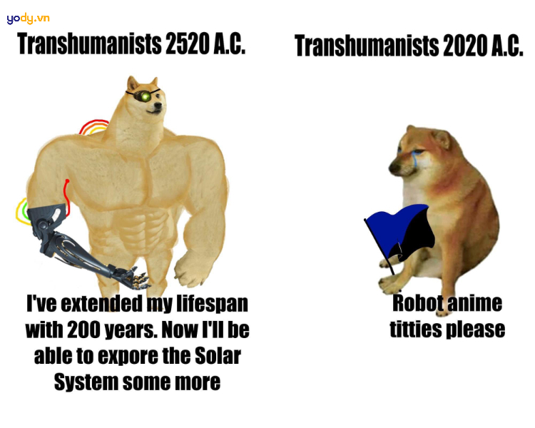 Ảnh meme Cheems vs Swole Doge buồn cười