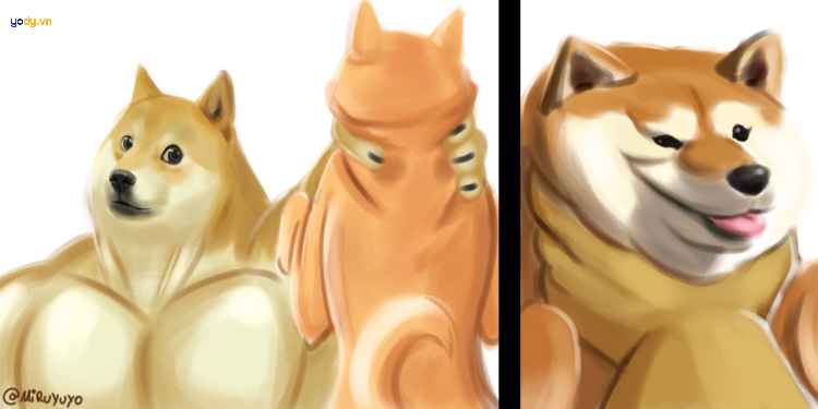 Ảnh meme Doge đáng yêu