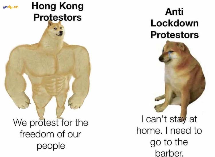 Ảnh meme Doge bá đạo