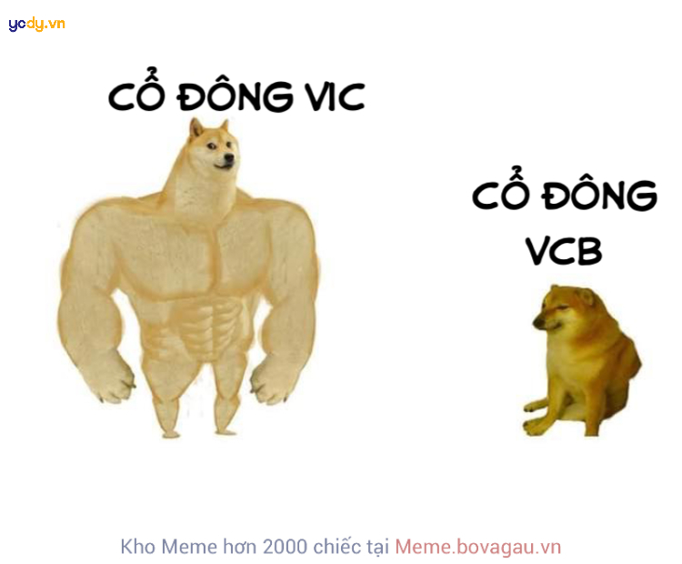 Ảnh meme Doge về ngân hàng