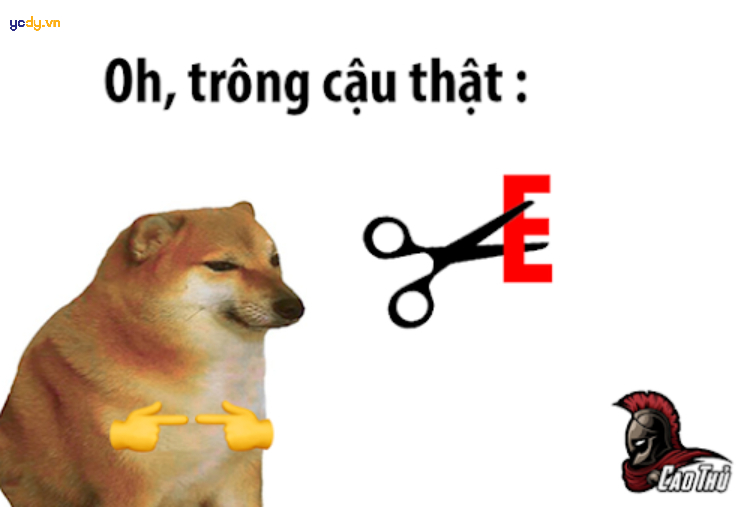 Ảnh Meme Cheems chơi chữ