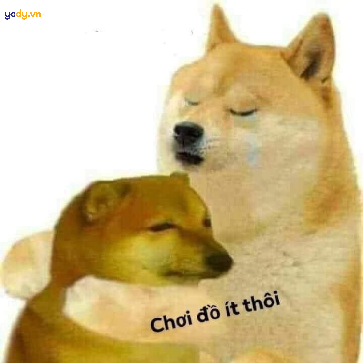Ảnh Meme Cheems cười đau bụng
