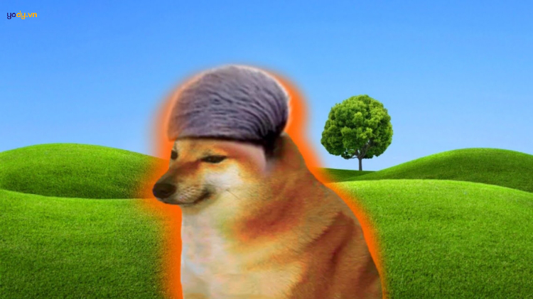 Cheems meme đầu mohican chéo