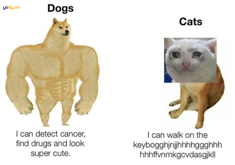 Ảnh meme Cheems vs Swole Doge cực bựa