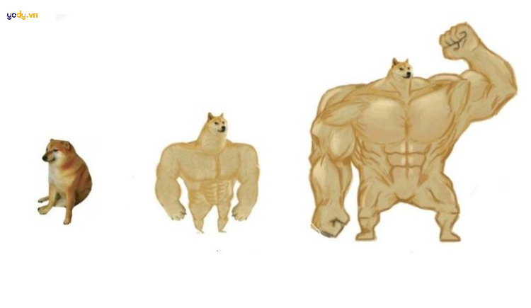 Ảnh meme Cheems vui nhộn