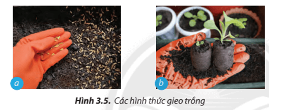 Lý thuyết Công nghệ 7 Chân trời sáng tạo bài 3