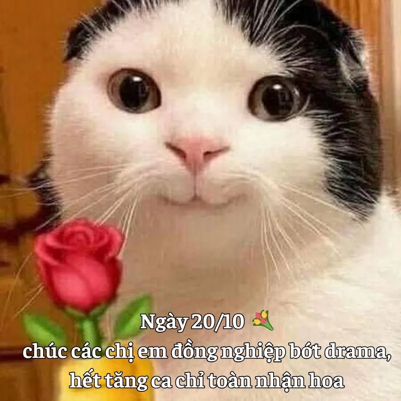 Meme 20/10 tự chế độc đáo