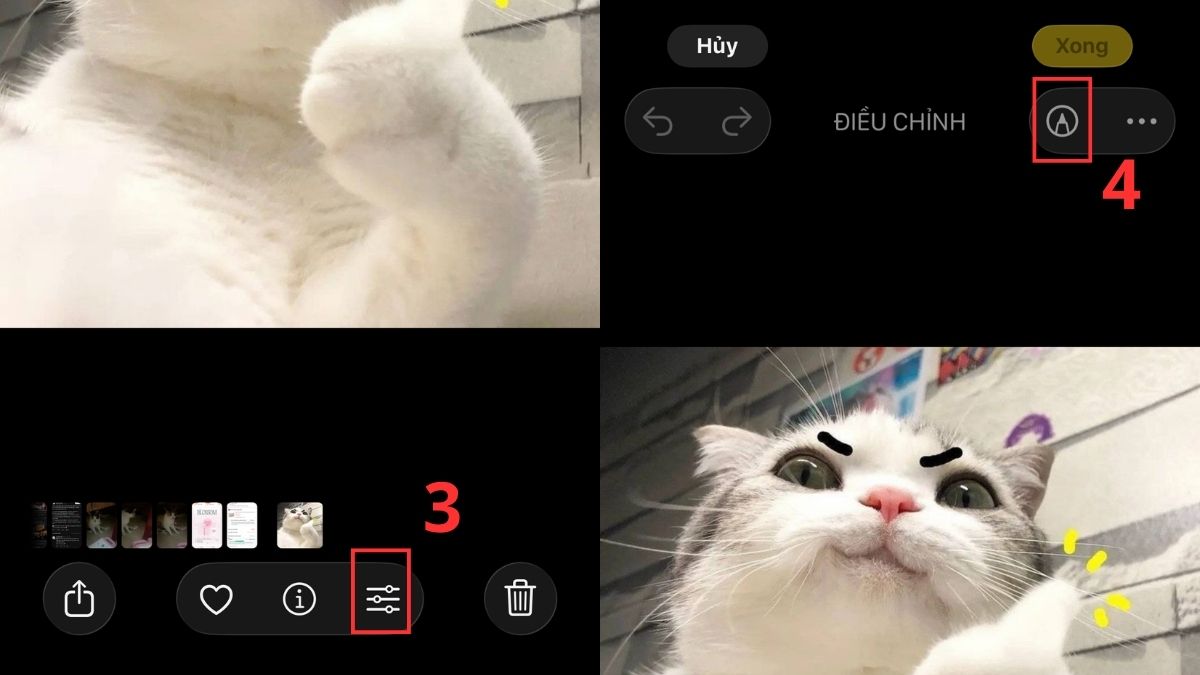 Tận dụng ảnh hài hước và thêm caption 20/10 để tạo meme