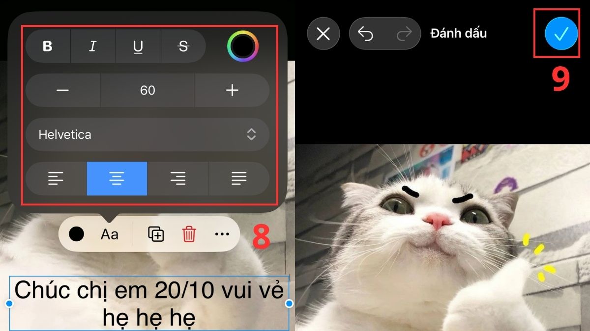 Tận dụng ảnh hài hước và thêm caption 20/10 để tạo meme