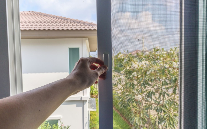 Cách đuổi chuột chù an toàn, hiệu quả nhà nào cũng nên biết 3