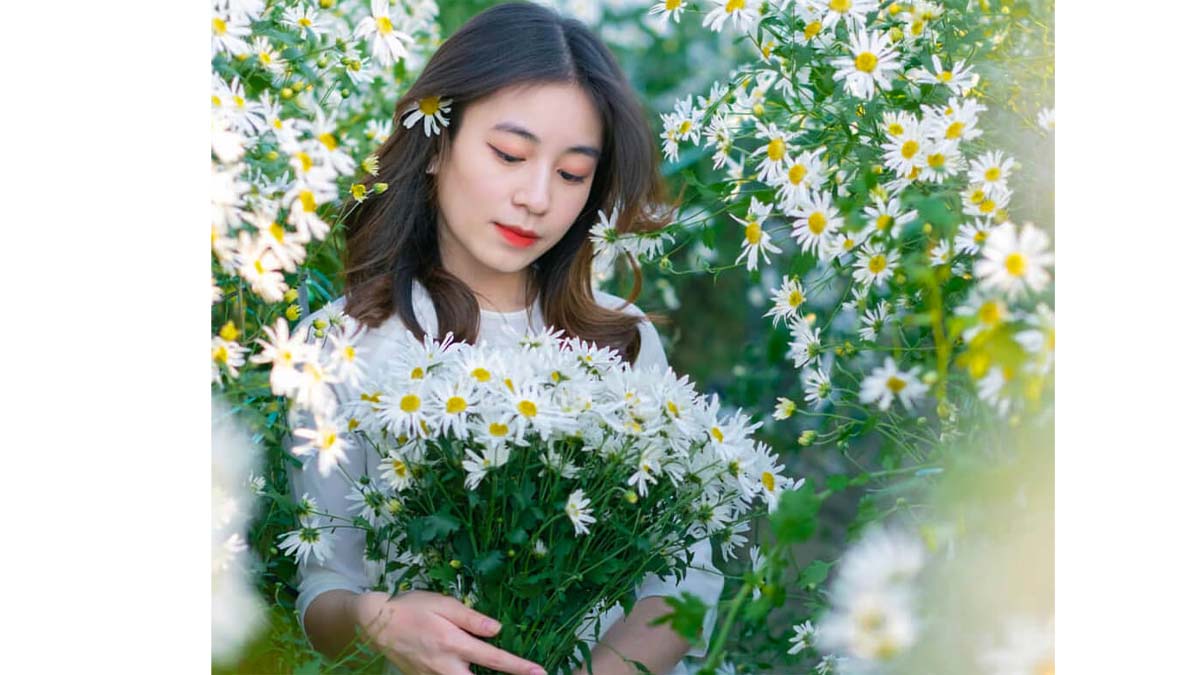 Chụp ảnh với hoa dã quỳ