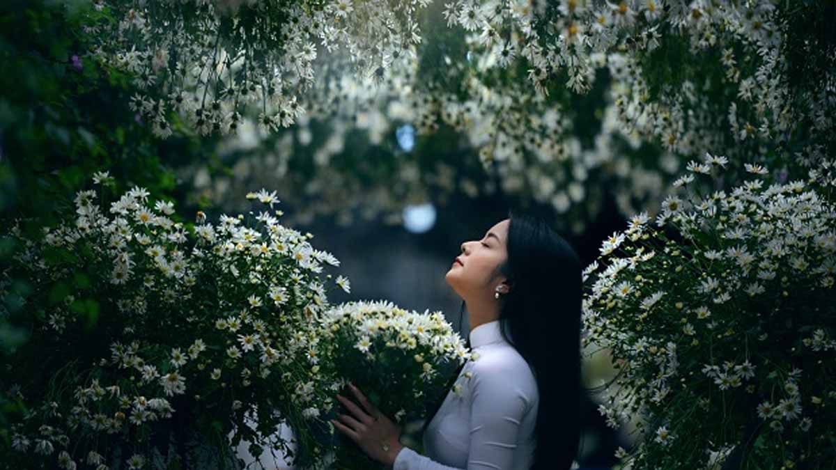 Cách chụp ảnh với hoa buổi tối