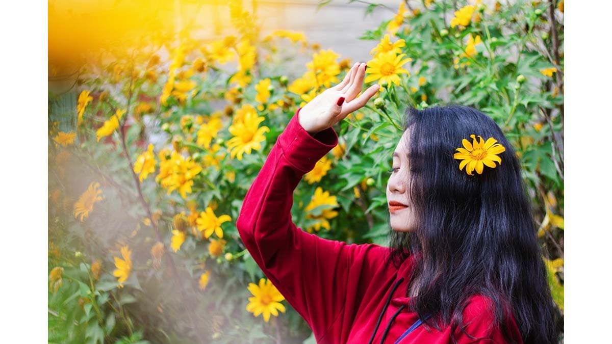 Cách chụp ảnh giữa rừng hoa cài hoa hướng dương