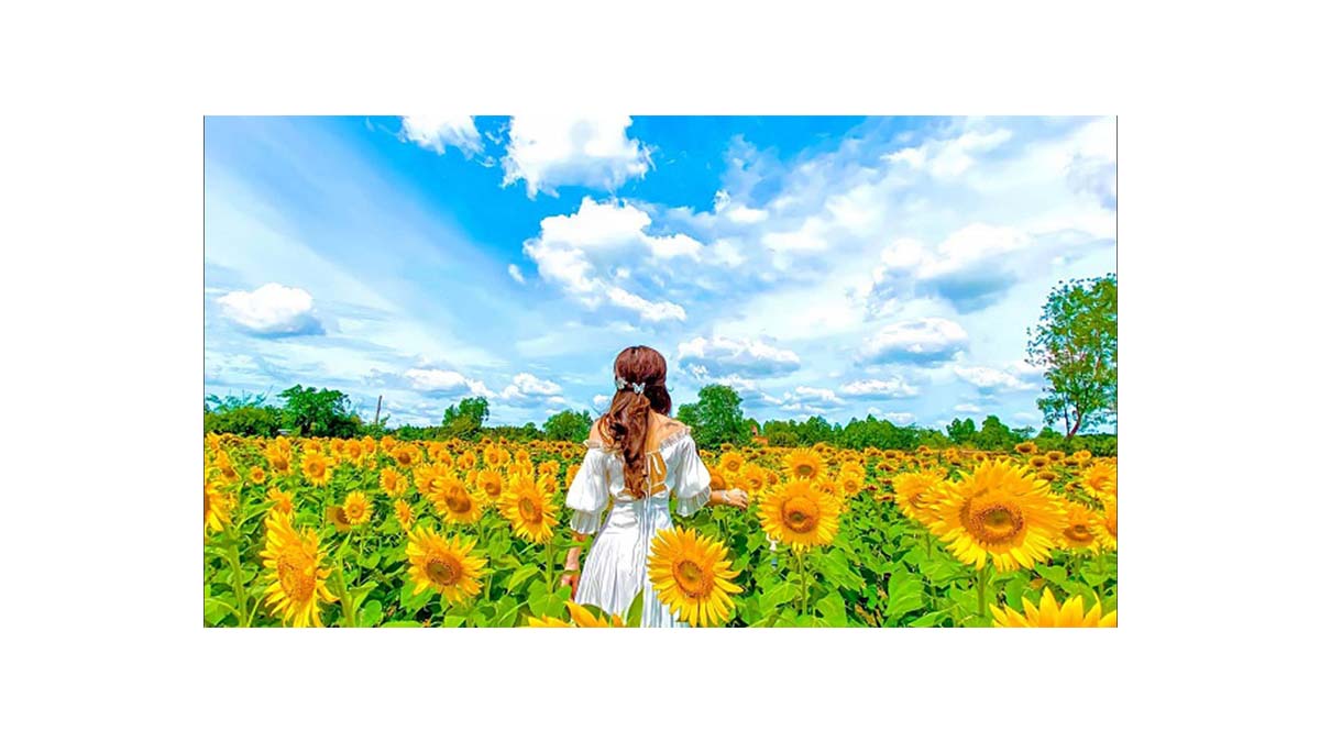 Cách tạo dáng chụp ảnh giữa rừng hoa quay lưng