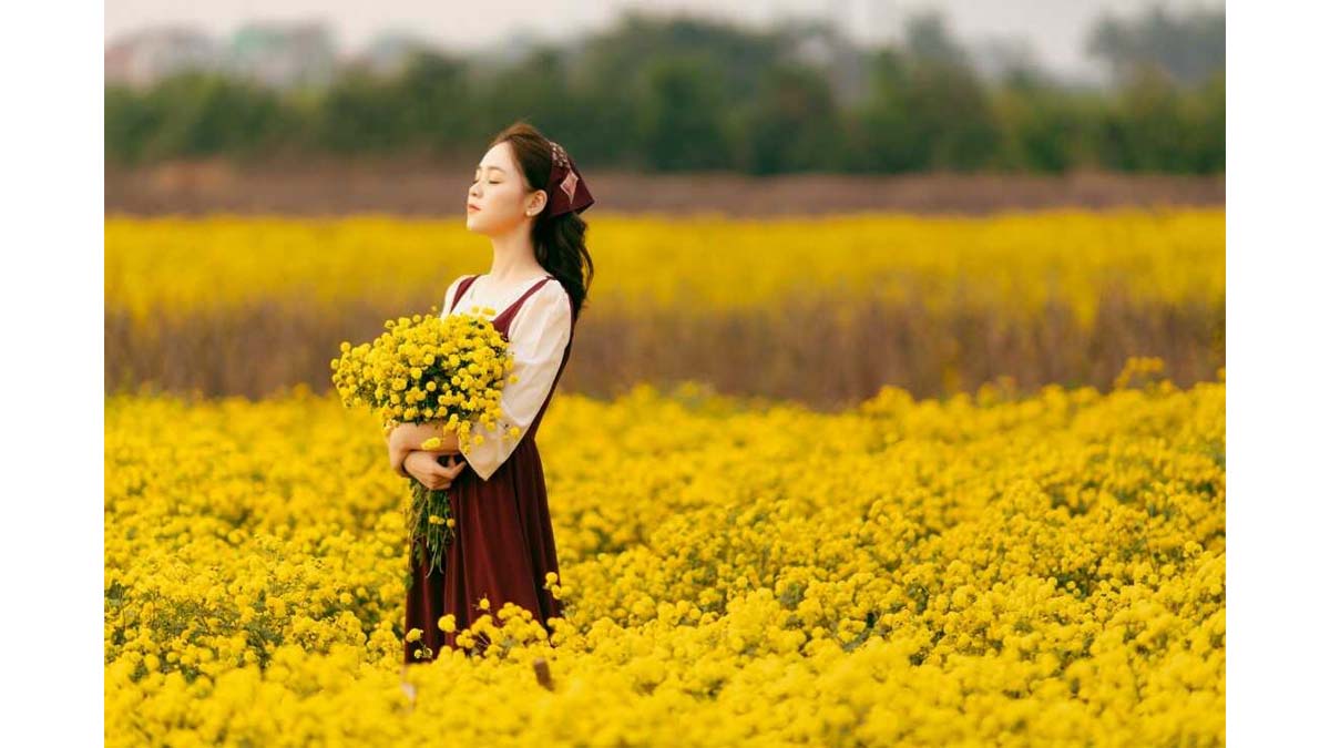 chụp ảnh giữa cánh đồng hoa