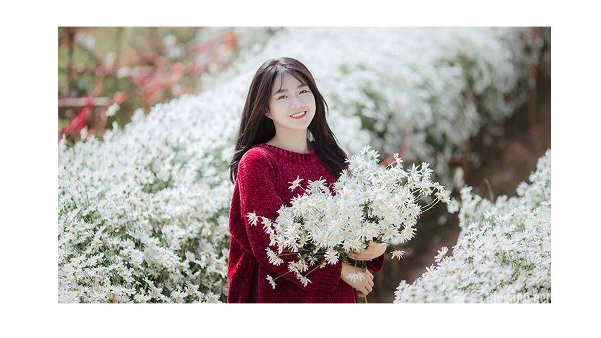 Chụp ảnh với hoa dã quỳ