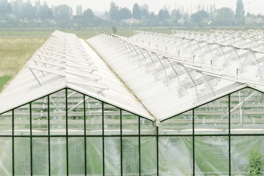 5 kiểu mô hình nhà kính phổ biến và cách sử dụng dây nhà kính hỗ trợ mô hình