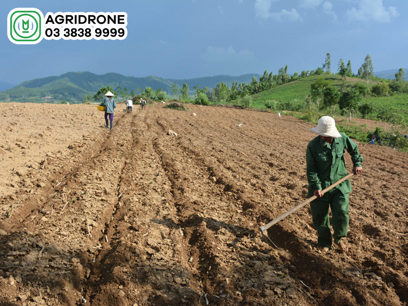 co may cach bon phan 02 1