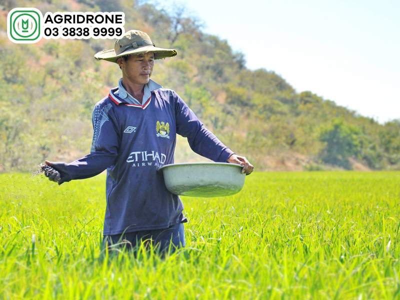 Có mấy cách bón phân? & Những nguyên tắc khi bón phân