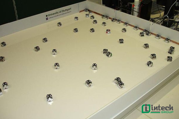 Robot học bầy (Swarm Robots)