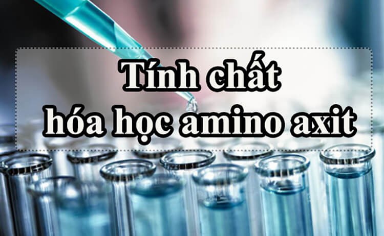 Tính chất hóa học của amino axit