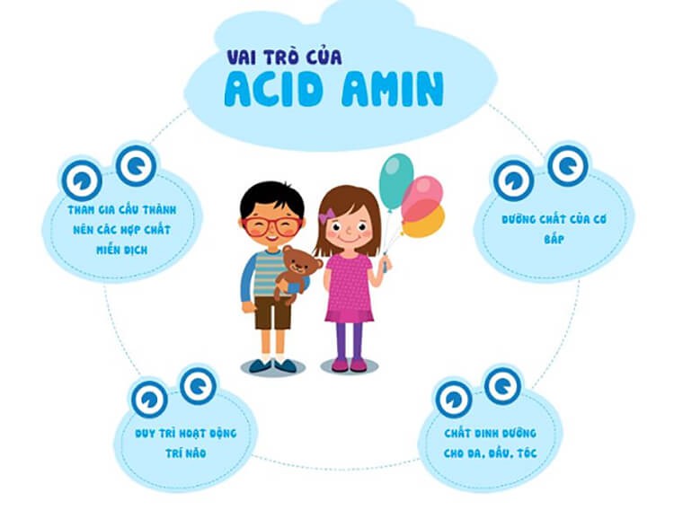 Tác dụng của amino acid