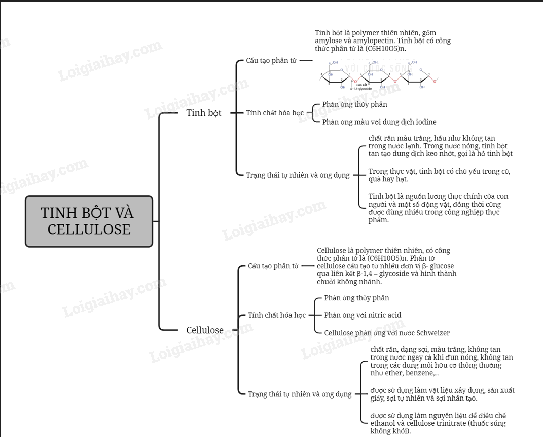 Lý thuyết Tinh bột và cellulose - Hóa 12 Chân trời sáng tạo</>
