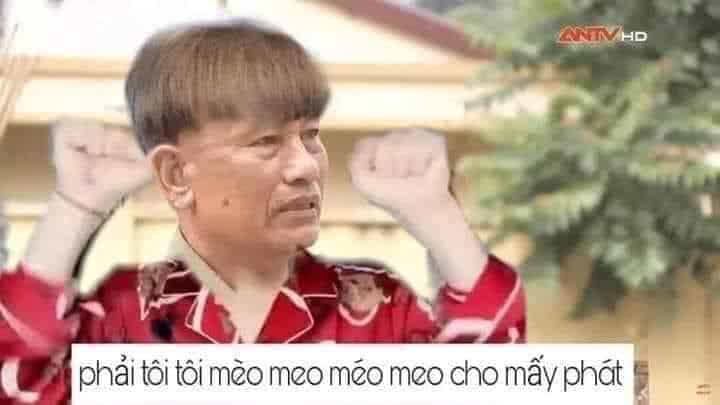 Bác Đa sẽ có biểu cảm gì khi thấy meme này? - Nguồn ảnh: Internet