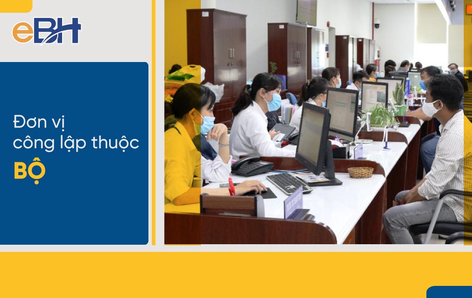 Ví dụ về đơn vị sự nghiệp công lập