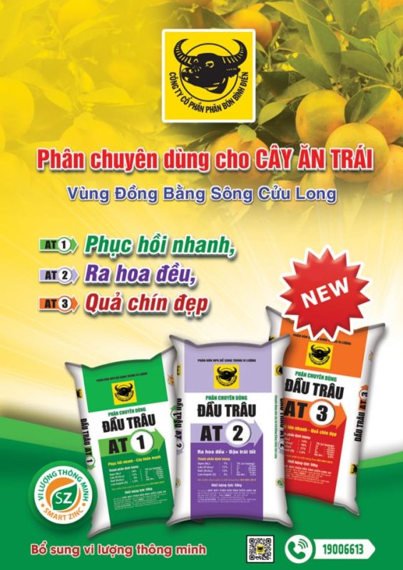 Trồng cây ăn trái trên nền đất phù sa cổ