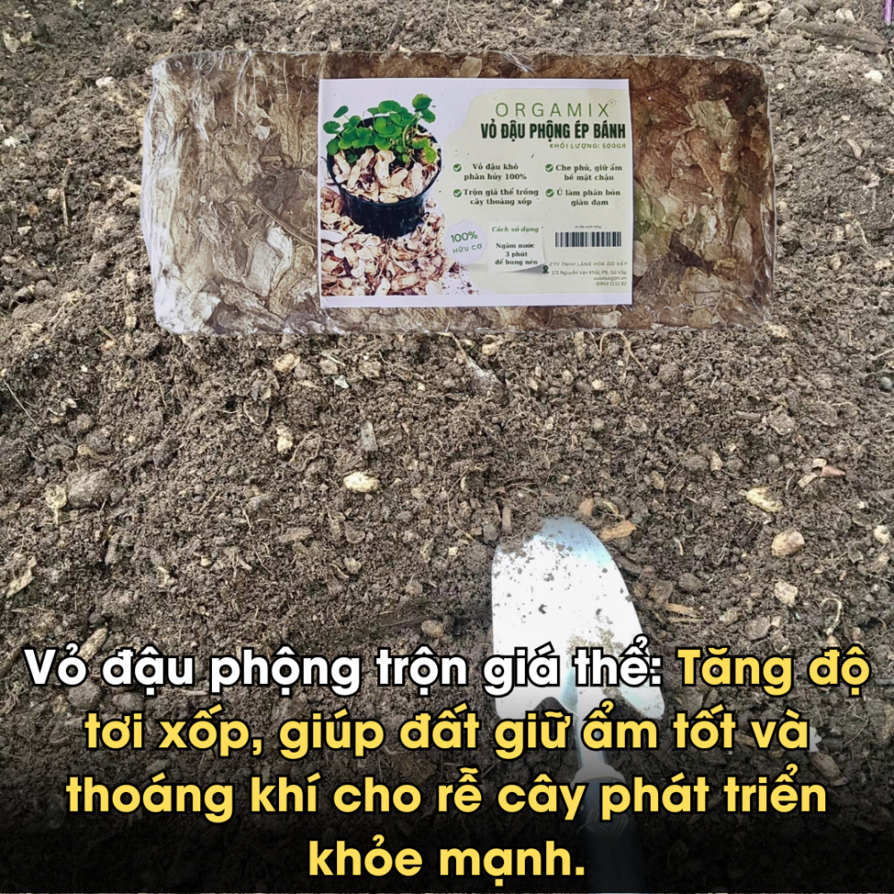 Vo Dau Phong Ep Banh (6)