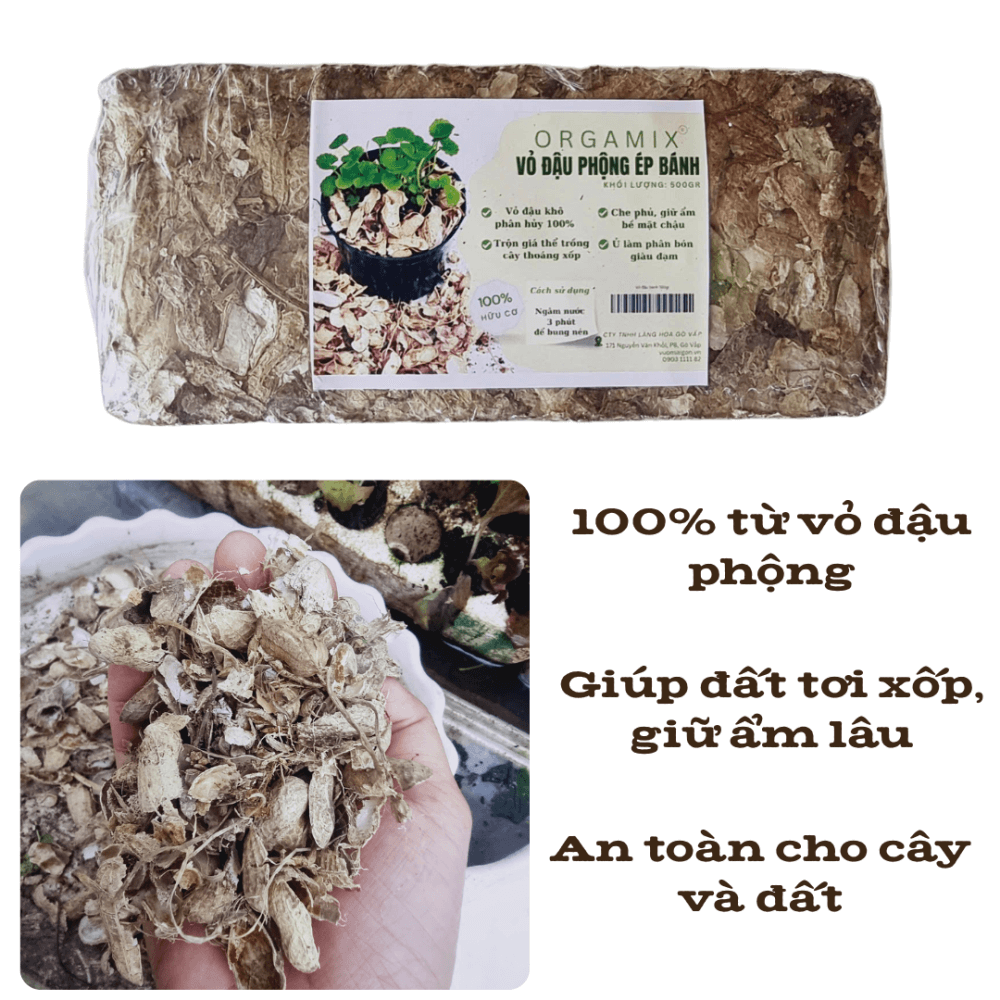 Vo Dau Phong Ep Banh (1)