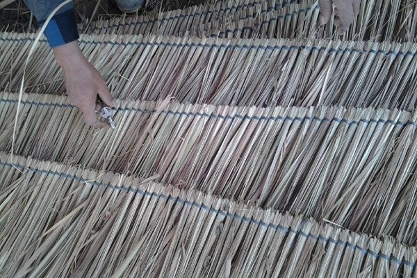 "Đều như vắt chanh" hay "đều như vắt tranh", nhiều người sử dụng theo thói quen nhưng sai hoàn toàn ý nghĩa