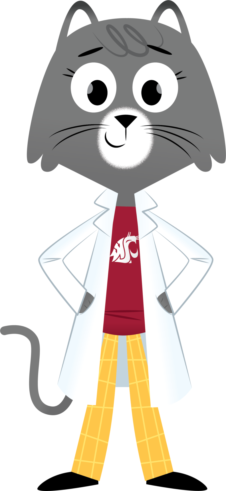 Dr. Universe, a grey cat with a lab coat, in a hero pose