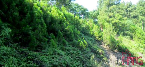 Địa điểm du lịch Nghệ An Hà Tĩnh