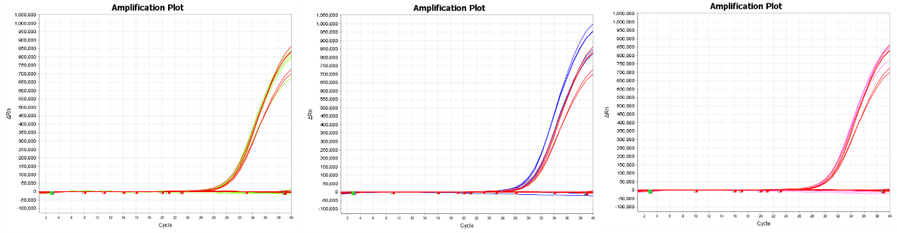 Phương pháp PCR để phát hiện đột biến điểm chính xác - cánh tay