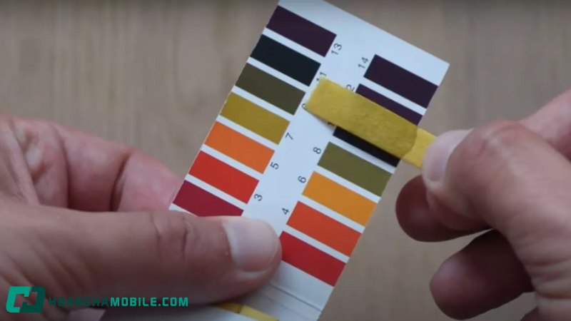 Dung dịch làm quỳ tím chuyển sang màu xanh là gì? Nguyên lý đổi màu của quỳ tím