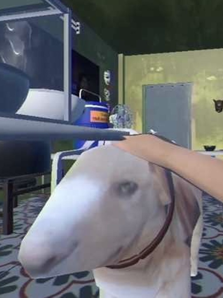 Tiem Pho Anh Hai anh 2