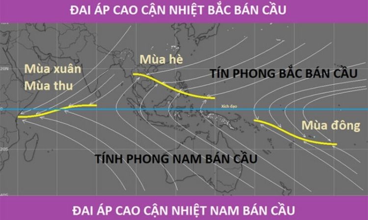 Cách gió tín phong được hình thành như thế nào