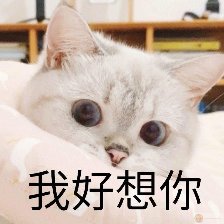 Nằm mơ thấy tiền, tỉnh dậy thấy báo nợ