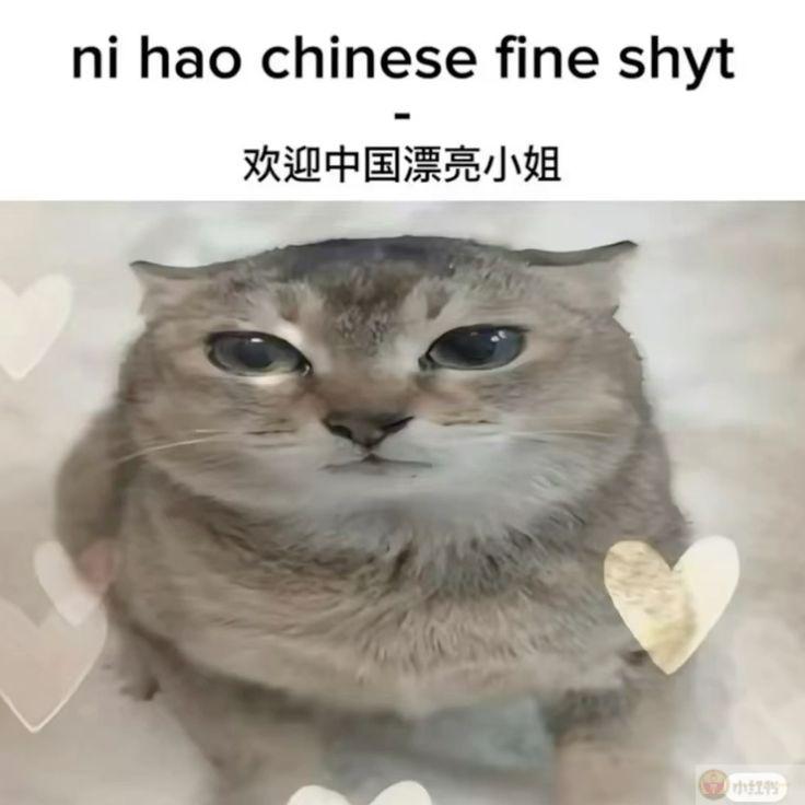 Thích thì nói, đừng làm meme lấp lửng thế