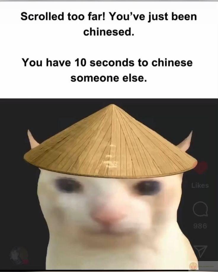 Ai mượn mày thương tao làm gì?