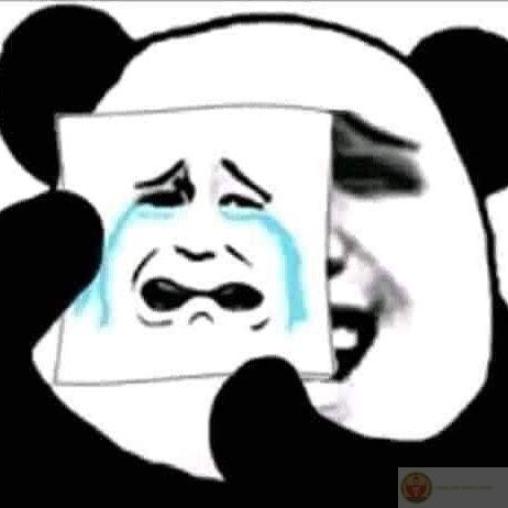 Cười hả, cười đi rồi khóc sau tao coi