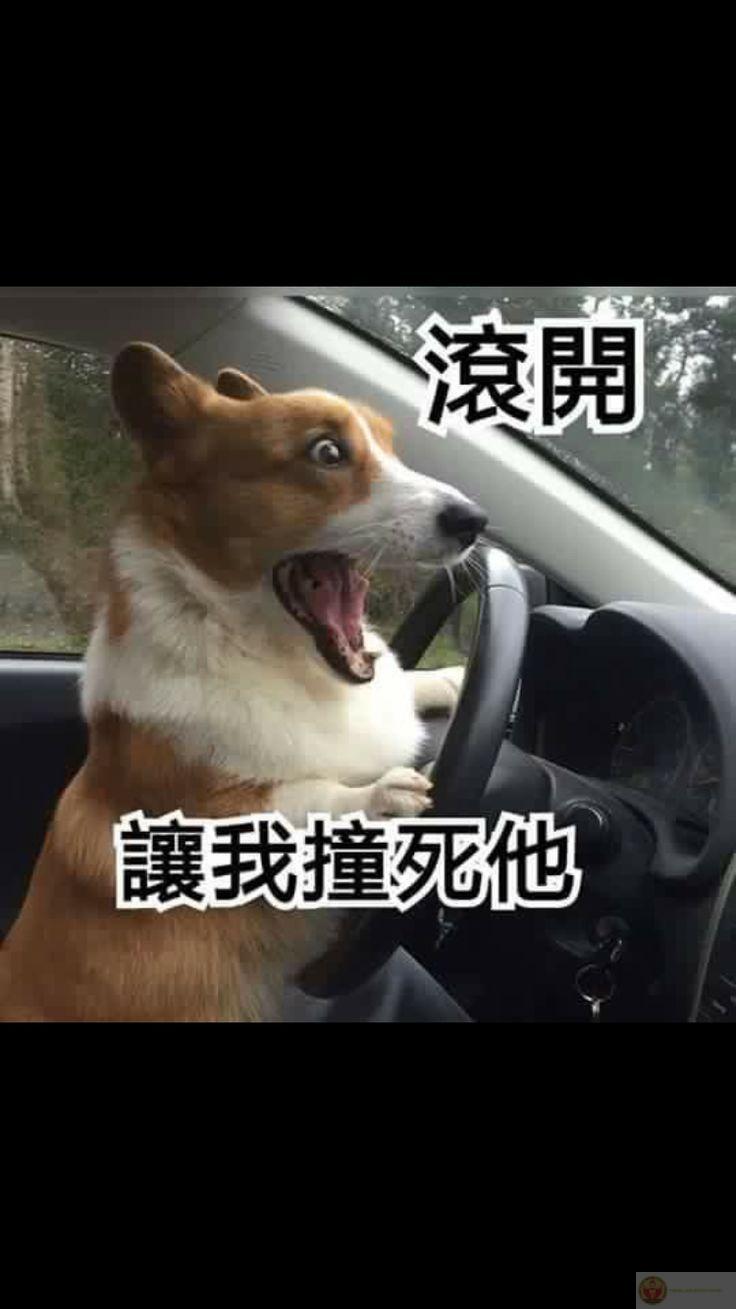 Đang yên đang lành, tự dưng nhớ người ta