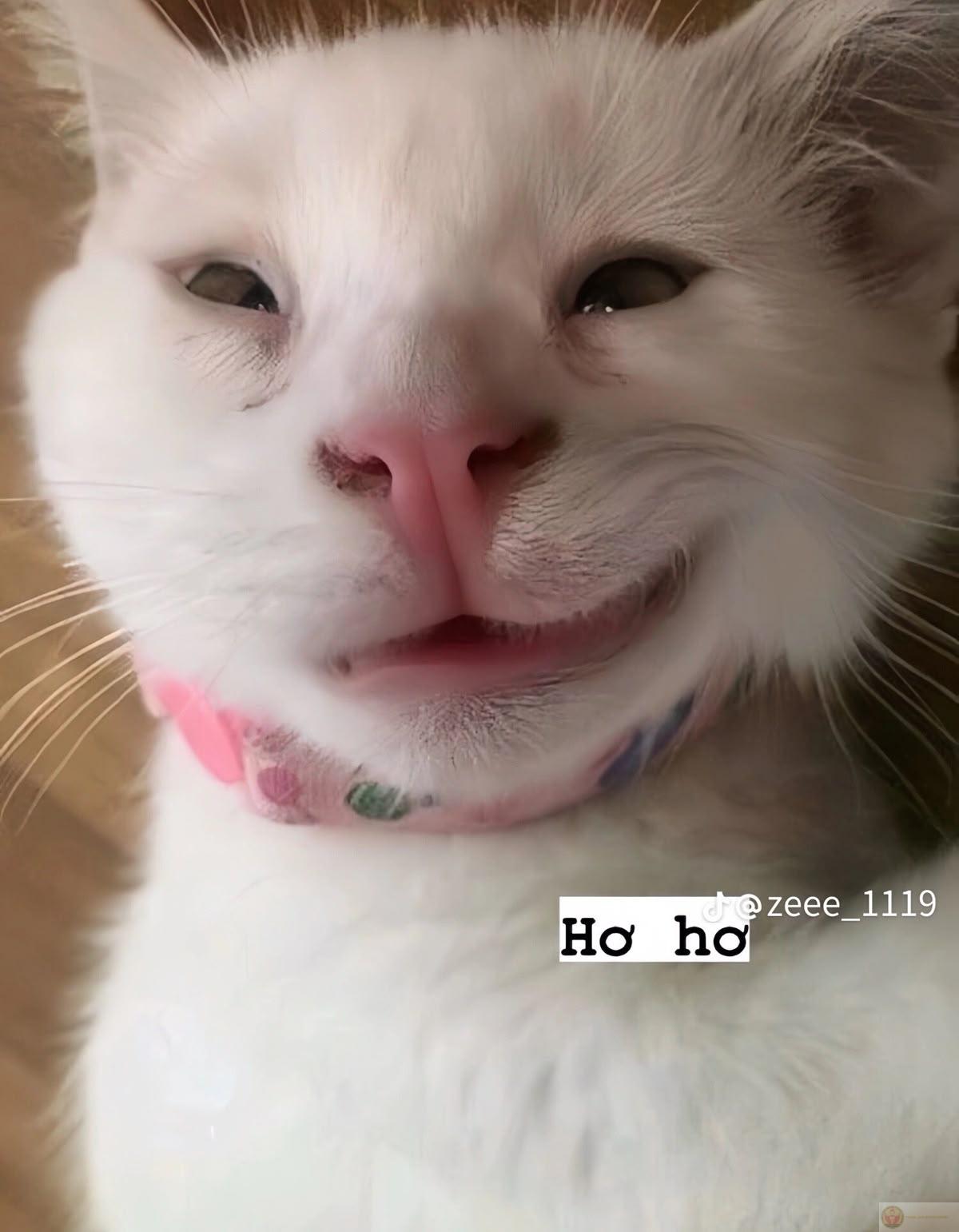 Đừng hỏi vì sao mập, hãy hỏi vì sao ăn mãi không no