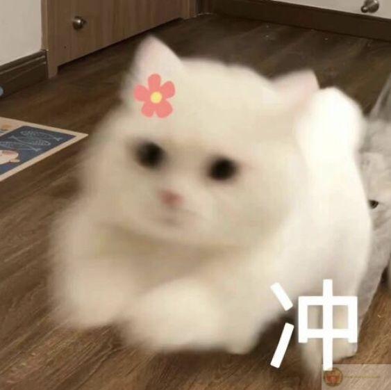 Giả bộ cười, thật ra muốn bốc hơi