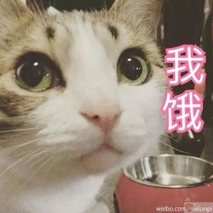 Hứa sẽ không nhắn nữa, nhưng tay lại tự gõ