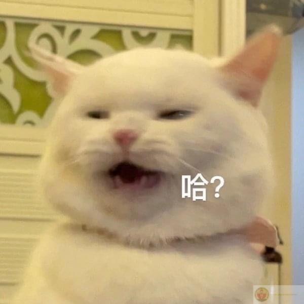 Không phải tao lười, là thế giới không đáng để cố