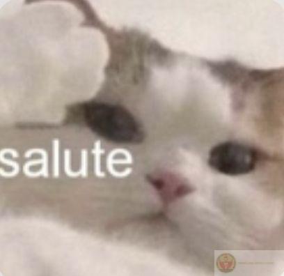 Mặt dày không phải do trời sinh, là do đời ép